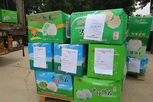 保障“菜籃子”，西城區(qū)結(jié)對(duì)幫扶地區(qū)扶貧產(chǎn)品物流配送中心正式投入運(yùn)營(yíng)